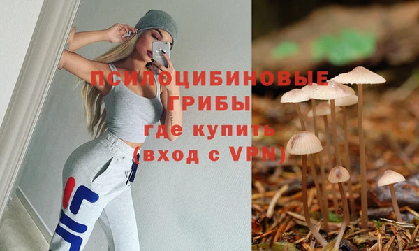 ALPHA PVP Ростов