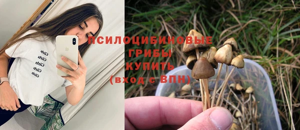 дурь Алексеевка